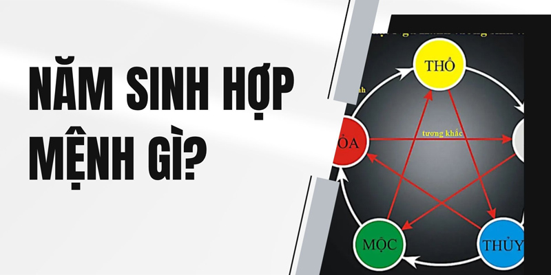 2012 mệnh gì? Giải mã tuổi Nhâm Thìn 2012 hợp mệnh, hợp màu, hợp hướng và tuổi nào nhất