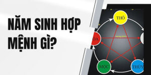 1981 mệnh gì? Giải mã phong thủy tuổi Tân Dậu hợp màu, hướng, tuổi và mệnh chi tiết nhất